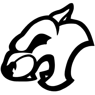 Bobcat